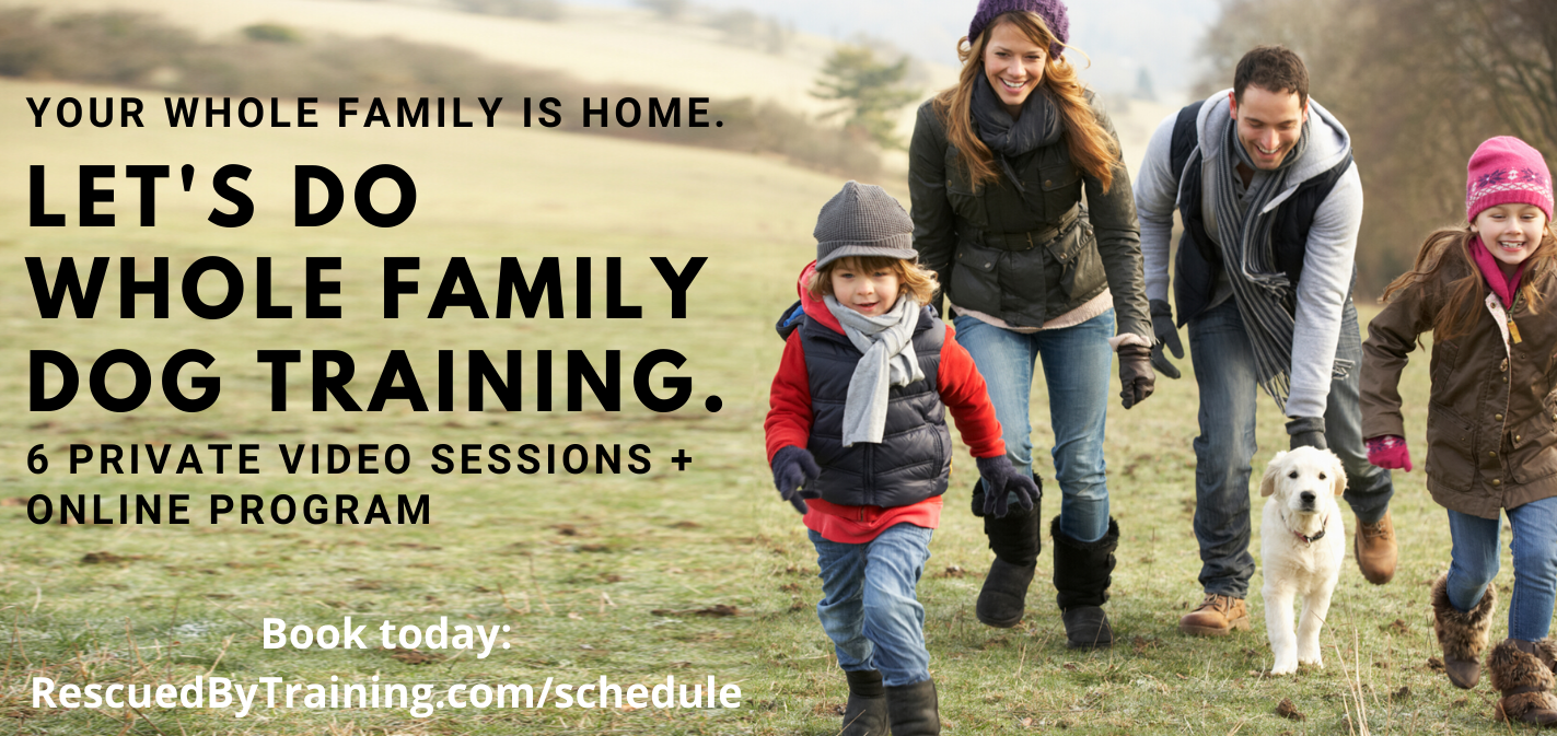 Got Kids AND a Dog?  You need Family Training!