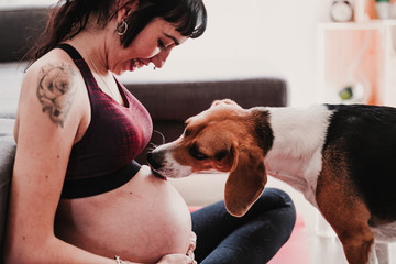 5 Ways To Help Your Dog When You’re Expecting