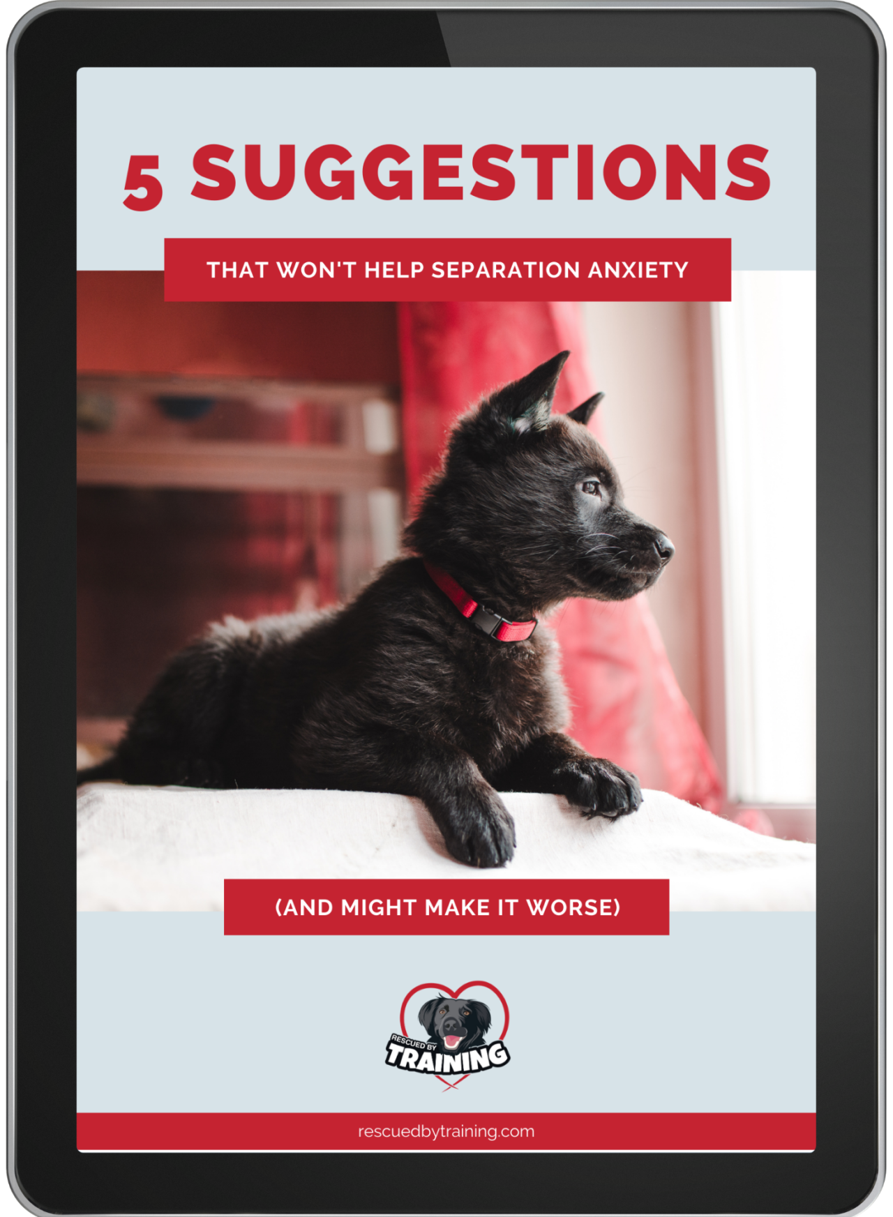 5 Suggestions That Won't Help Your Dog's Separation