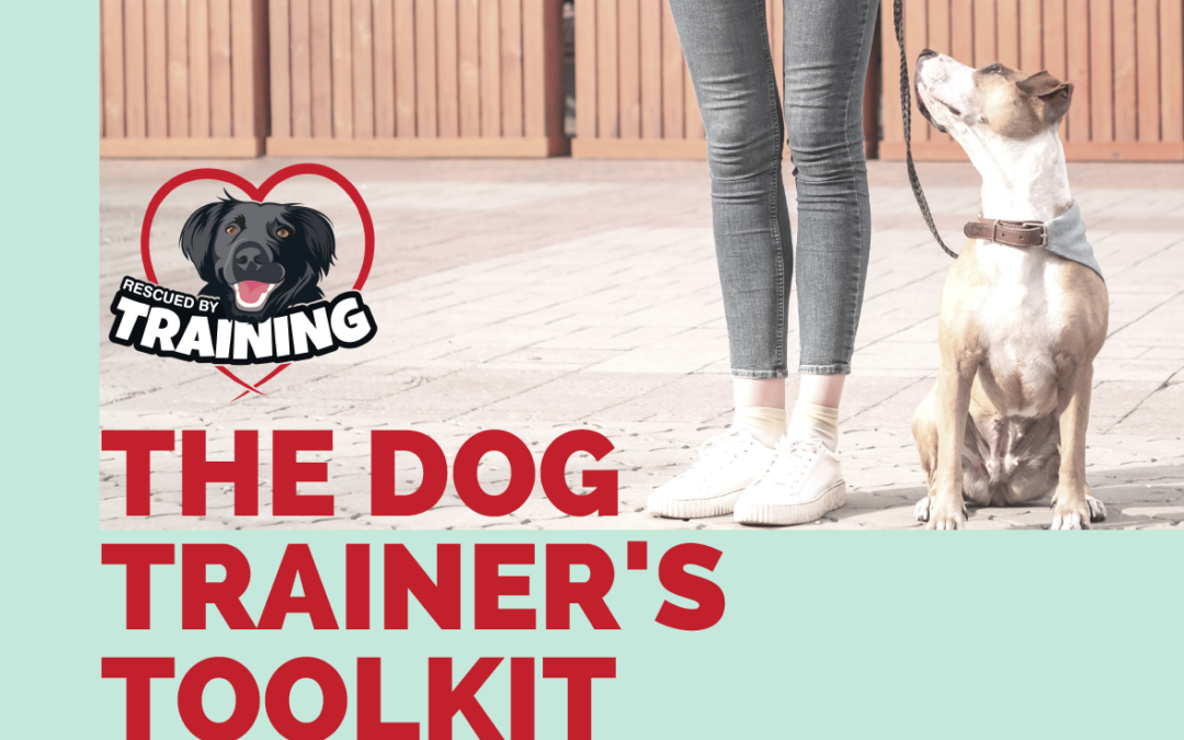 My Top Gear Choices – The Dog Trainer’s Toolkit