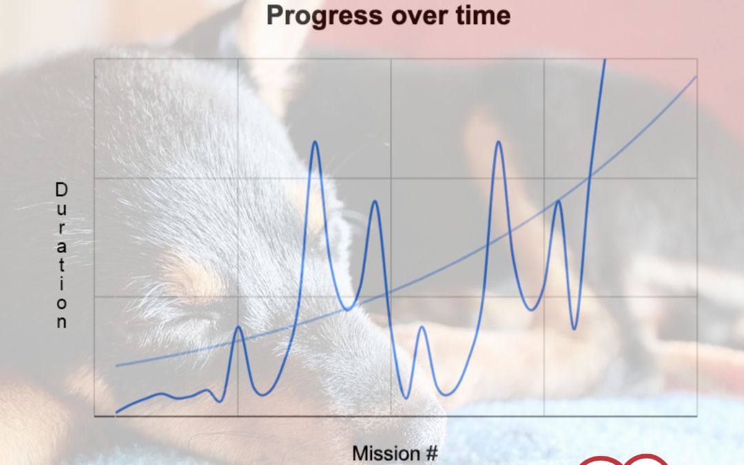 How To Conquer Regressions, Separation Anxiety and Otherwise