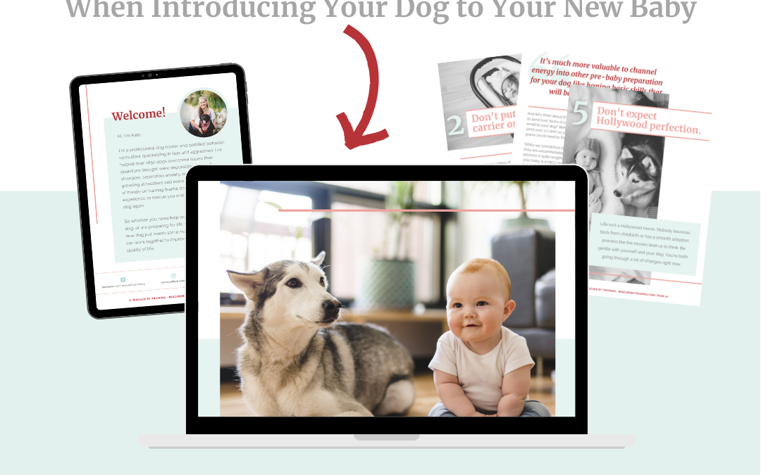 Free Guide: 10 Dos and Don’ts When Introducing Your Dog to Your New Baby