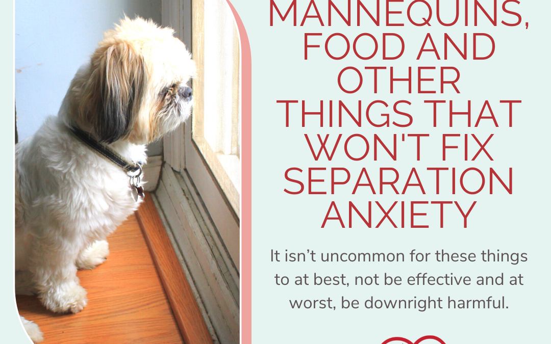 Mannequins, Food and Other Things That Won’t Fix Separation Anxiety