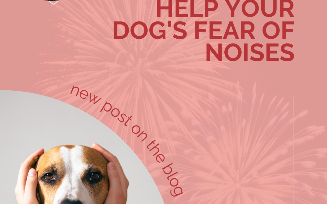 9 Ways To Help Your Dog’s Fear of Noises