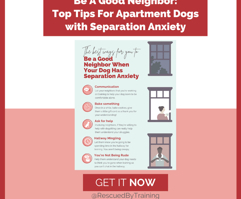 Be A Good Neighbor Guide for Apartment Dogs with Separation Anxiety