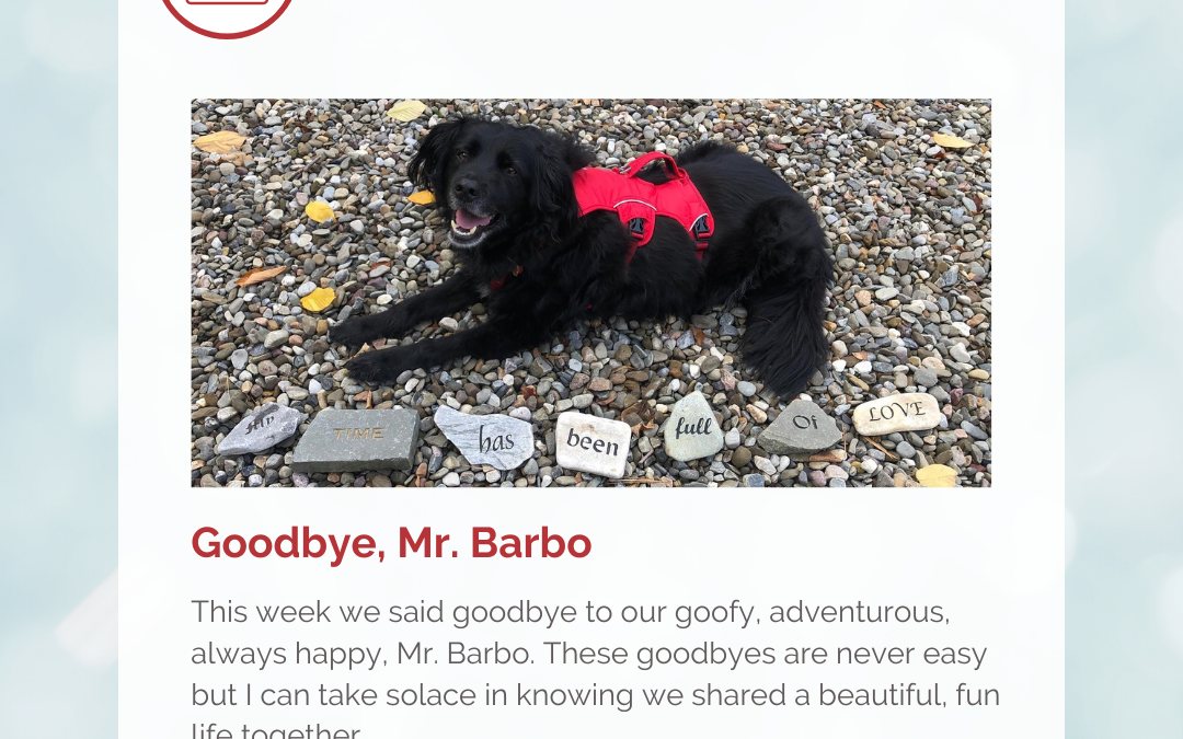 Goodbye, Mr. Barbo