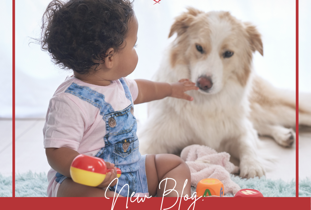 Is Your Dog Really “Kissing” Your Child?