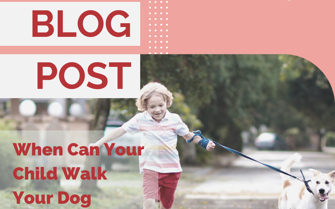 When Can Your Child Walk Your Dog Alone?