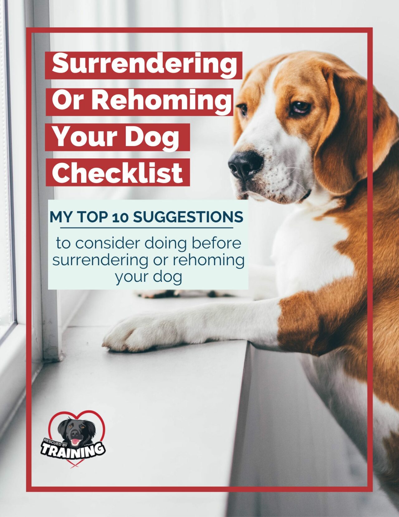 Surrendering or Rehoming Your Dog Checklist