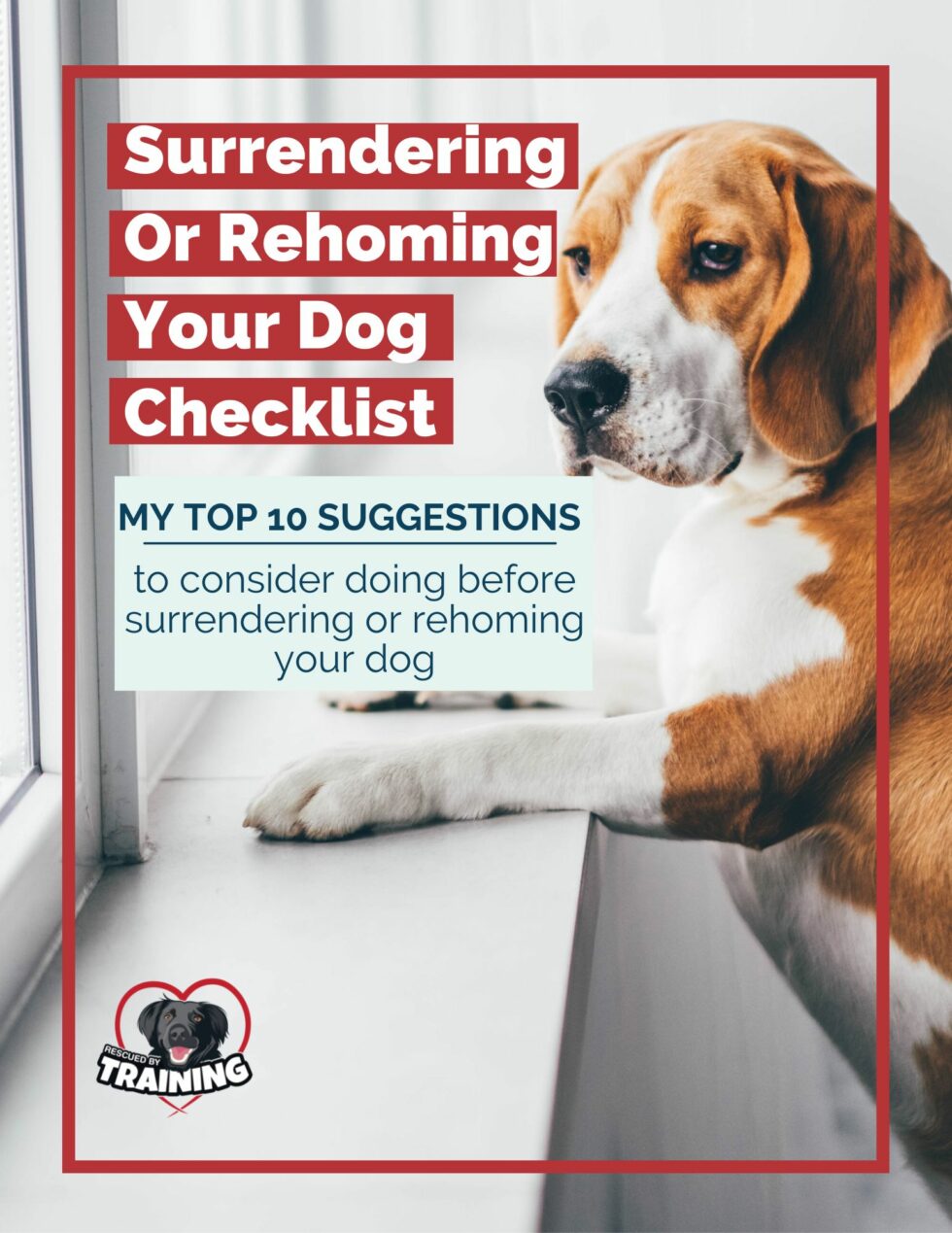 Surrendering Or Rehoming Your Dog Checklist