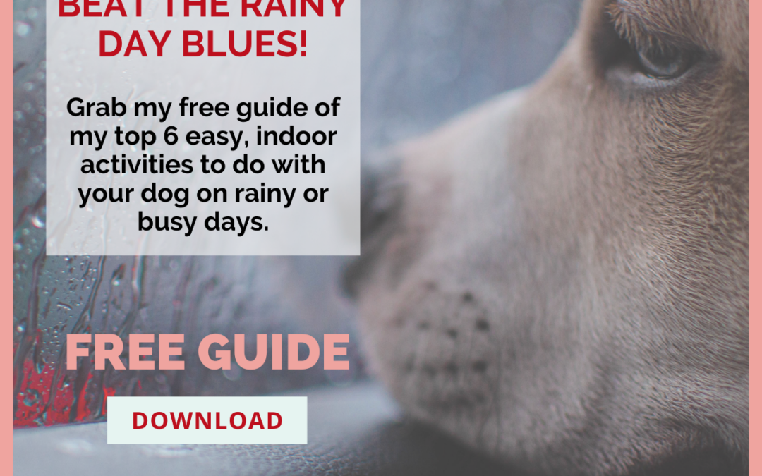 Free Guide: My Top Quick Activities For A Busy Or Rainy Day