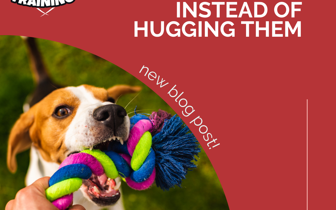 6 Ways To Love Your Dog Instead of Hugging Them