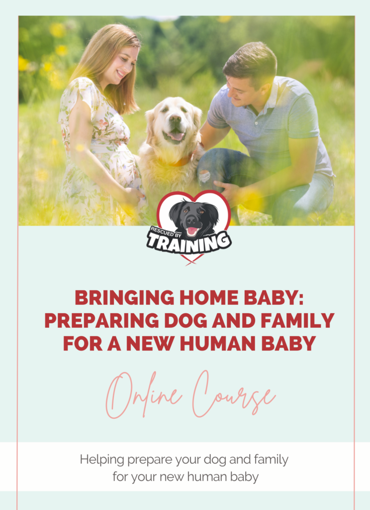 pregnant couple with dog course cover