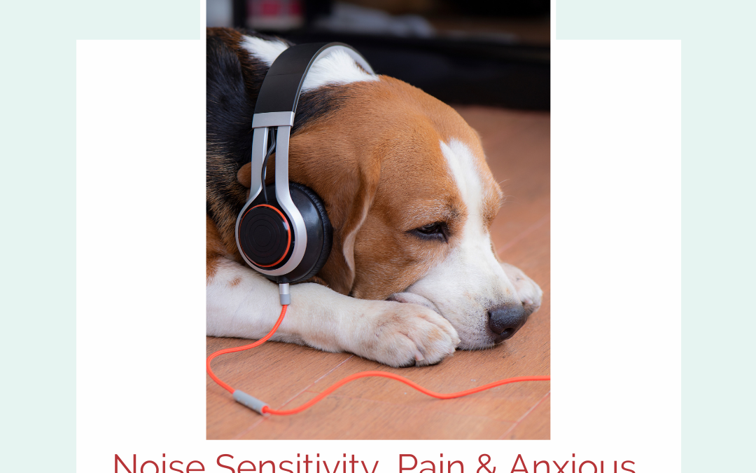 Noise Sensitivity, Pain and Anxious Behavior