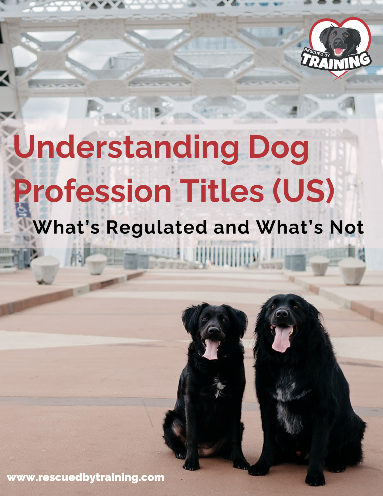 Understanding Dog Profession Titles Download
