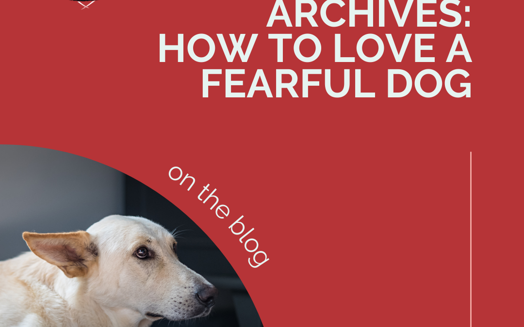 From The Archives: How To Love A Fearful Dog
