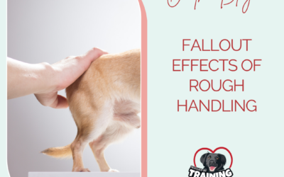 Fallout Effects Of Rough Handling