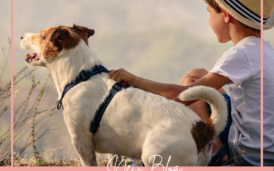 Supporting Kids Through Pet Loss Grief