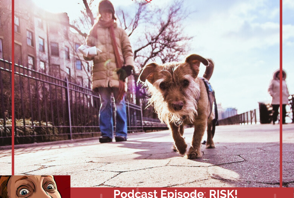 Podcast Episode: RISK!