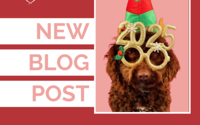 6 Ways To Help Your Dog Succeed This Year