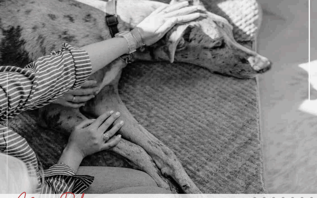 What to Say (and Not Say) to Someone Grieving a Pet