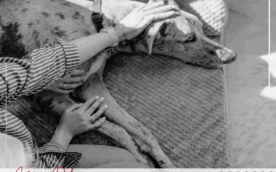 What to Say (and Not Say) to Someone Grieving a Pet