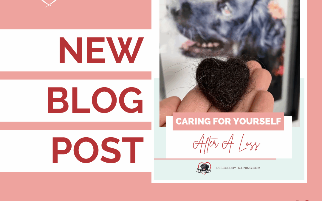 10 Ways To Care For Yourself After Pet Loss