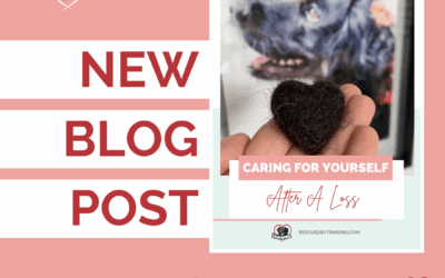 10 Ways To Care For Yourself After Pet Loss