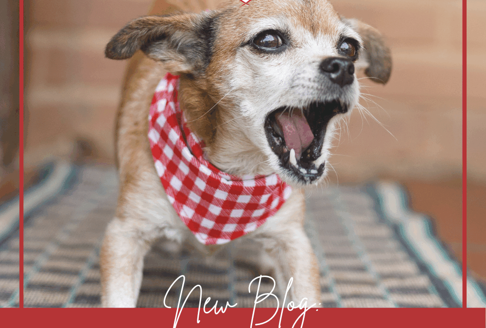 Behavior Suppression Is Not Behavior Modification