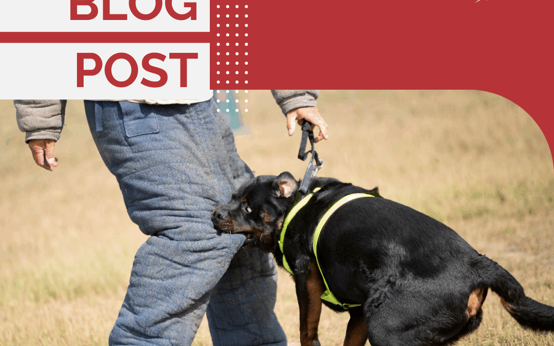 Protection Dogs Are Not Family Pets