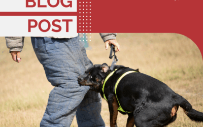 Protection Dogs Are Not Family Pets