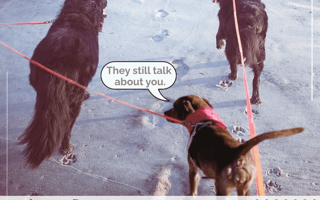 My Grief Journey One and A Half Years In