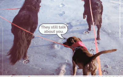 My Grief Journey One and A Half Years In