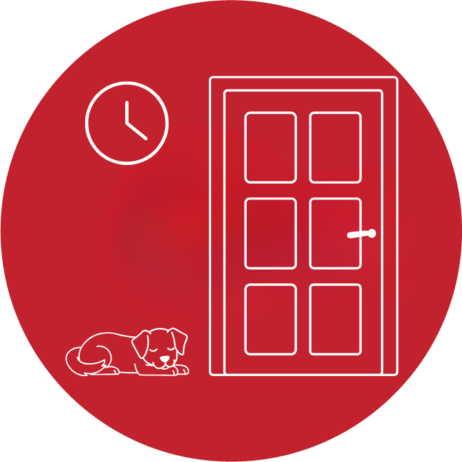 Separation Anxiety Initial Assessment (1 hour video)