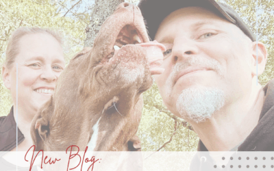 Celebrating 6 Years Of Blogging