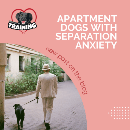 man walking dog on leash towards apartment building