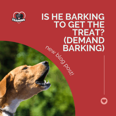 demandbarking