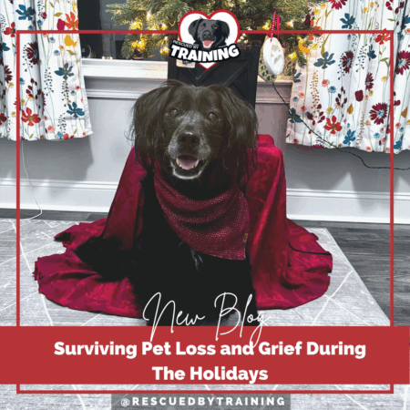 grief during holidays