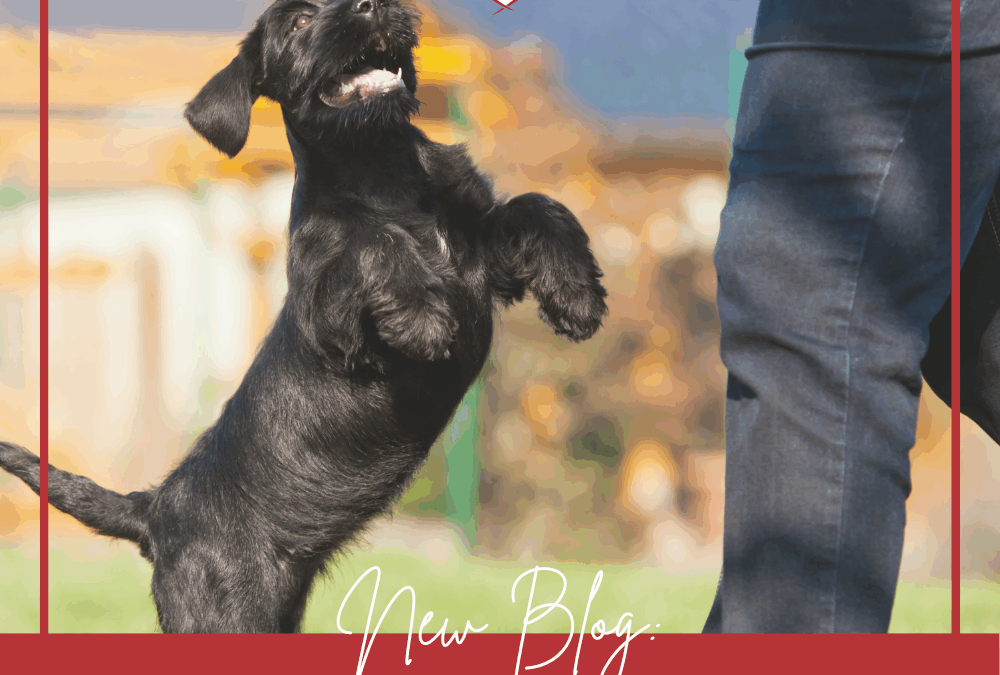 Are You Rewarding the Wrong Behavior?