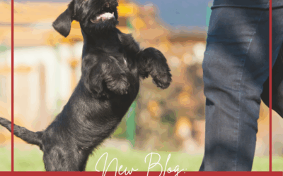 Are You Rewarding the Wrong Behavior?