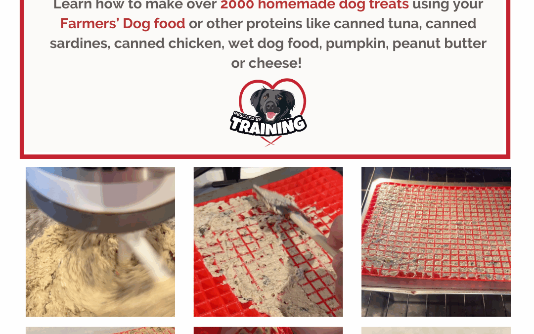 Homemade Dog Treats Using The Farmers’ Dog Food