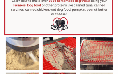Homemade Dog Treats Using The Farmers’ Dog Food
