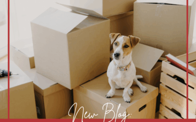 Moving With Your Dog: How To Have a Smooth Transition