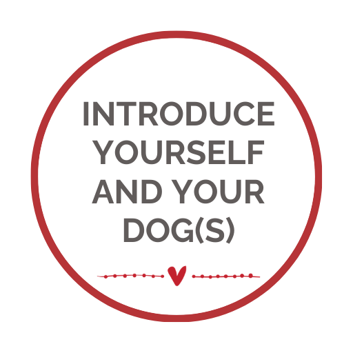 Introductions circle cover