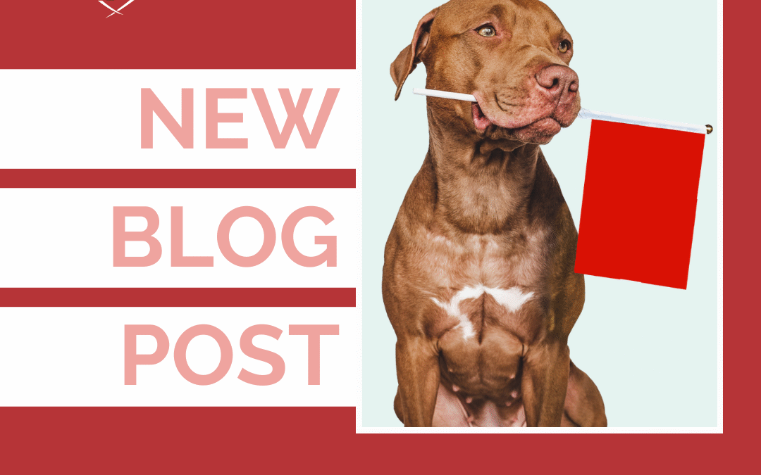 How to Spot Red Flags When Hiring a Dog Trainer