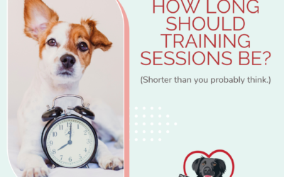 How Long Should Your Dog Training Sessions Be?