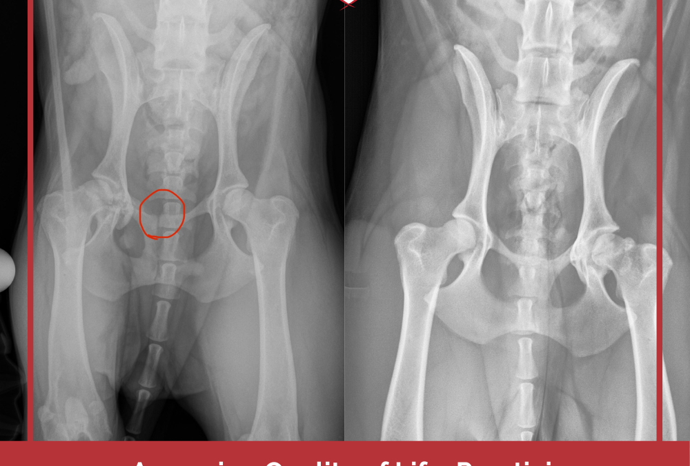 Quality of Life Assessment: Practicing What I Preach