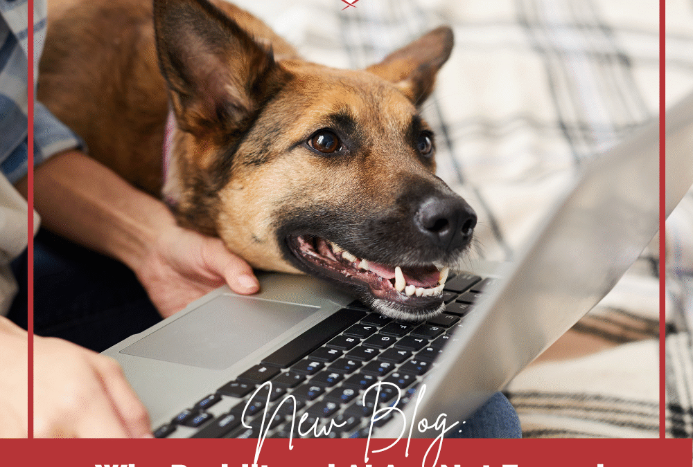 Why Reddit and AI Are Not Enough for Dog Behavior Problems