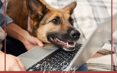 Why Reddit and AI Are Not Enough for Dog Behavior Problems