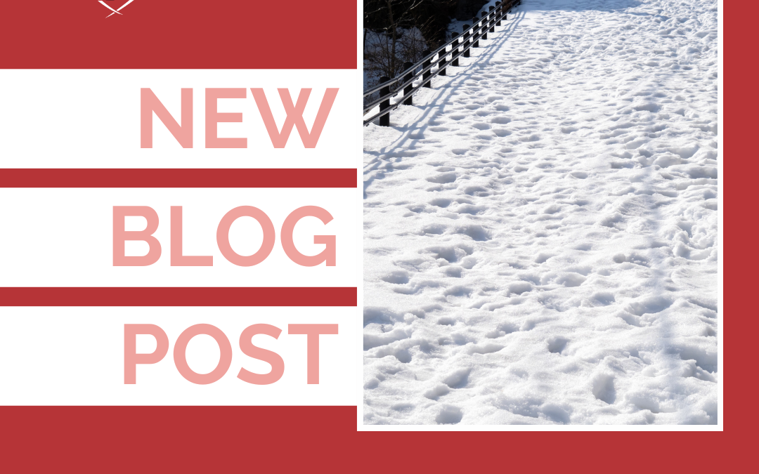 Behavior Is Not a Slippery Slope | Rescued By Training